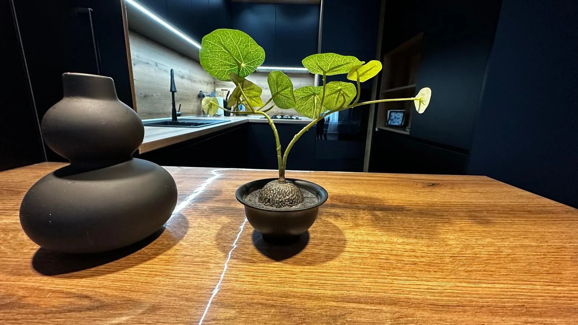 1Br Modern Condo Near The University Sofya Bulgaristan